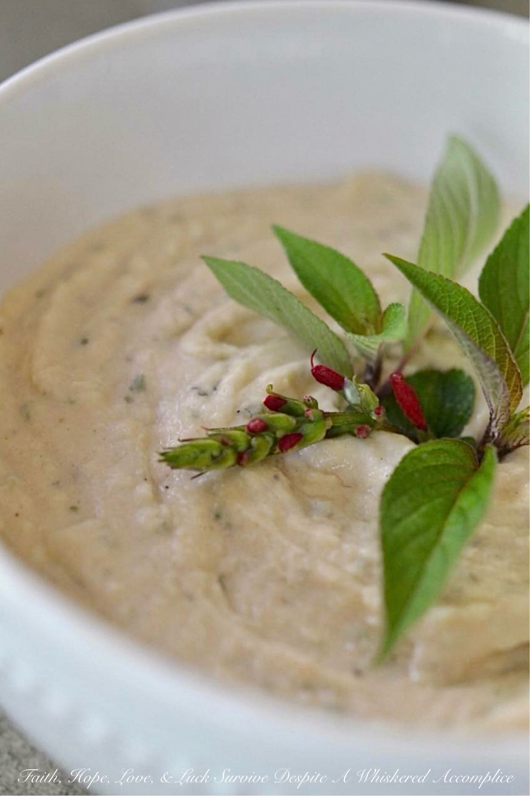 Cannellini Bean Dip with Pineapple Sage