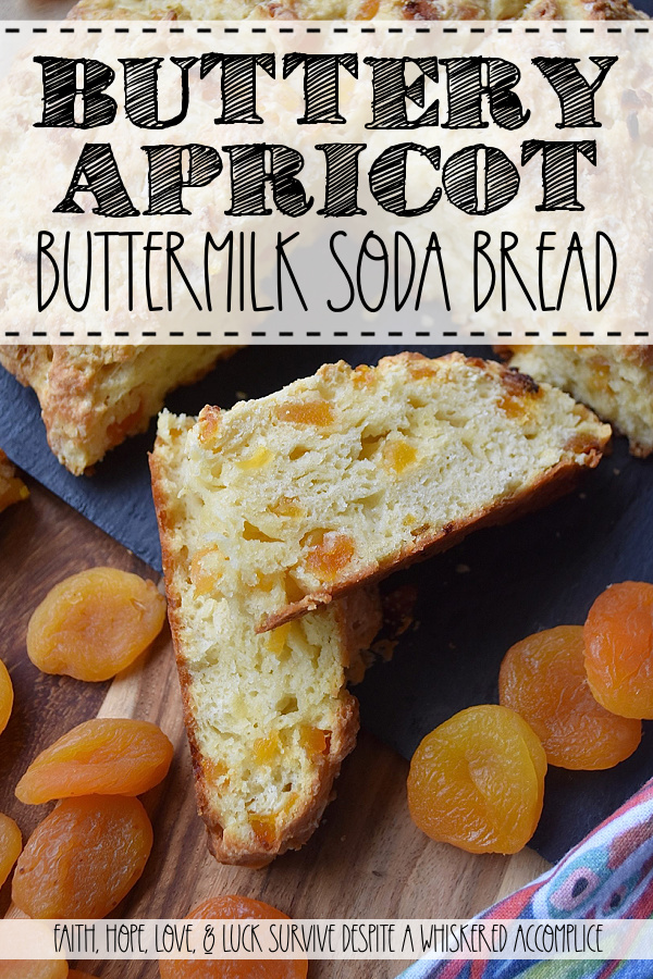Buttery Apricot Buttermilk Soda Bread - This buttery apricot soda bread isn't just for St. Patrick's Day, it's a loaf of bread you can enjoy on any day of the year. And, I think that you'll find that soda bread is one of the easiest types of bread you will ever make, as well as one of the most delicious. Add in a generous dose of butter, dried apricots, and a little bit of buttermilk, and you've got a loaf of bread that definitely won't stick around long.