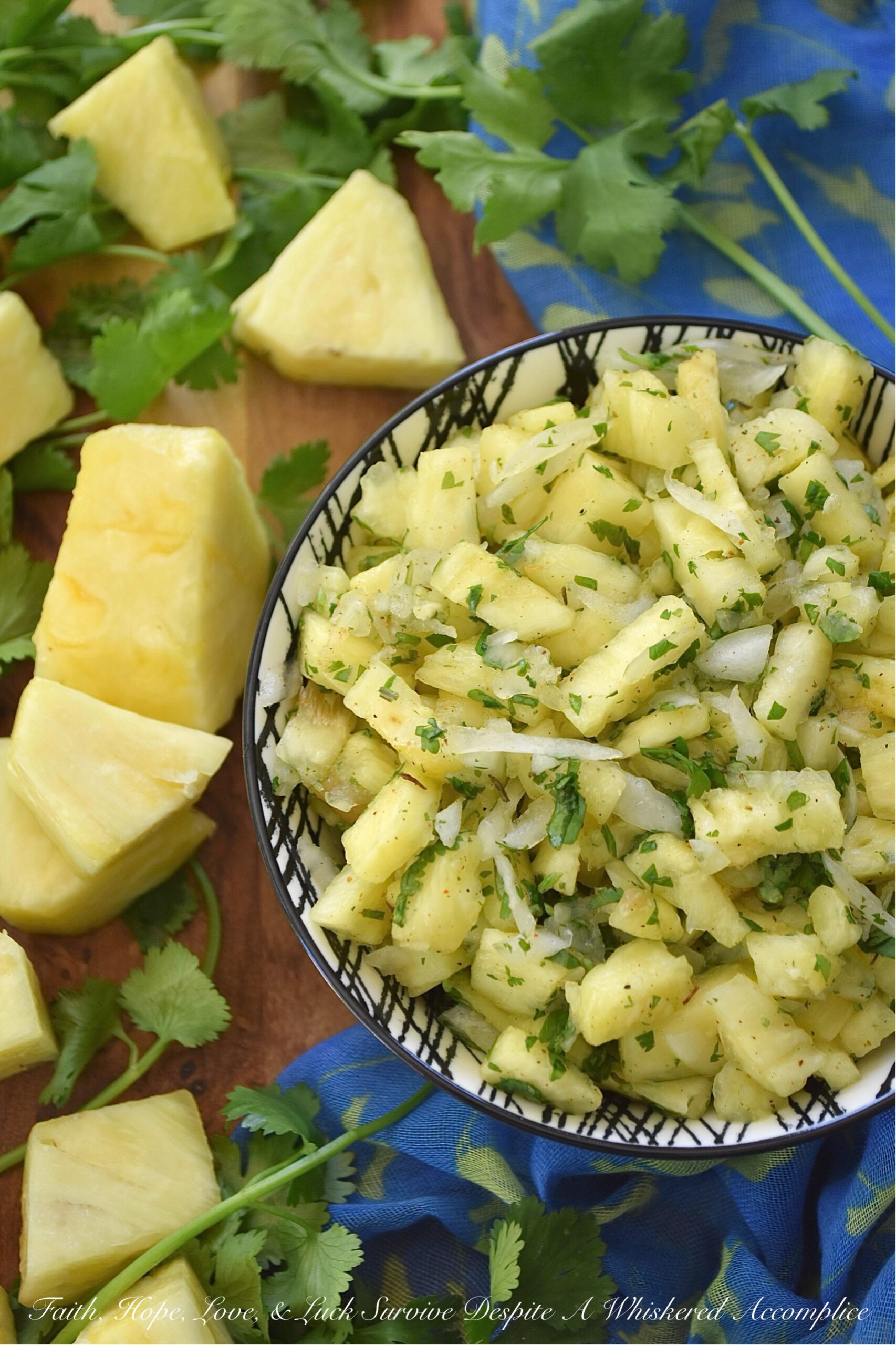 Pineapple & Sweet Yellow Onion Caribbean Salsa