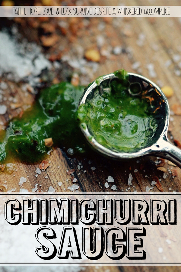 Chimichurri Sauce - This vibrant, parsley-packed sauce is the definition of bright, fresh, and flavorful. It’s the perfect companion for grilled meats, but once you start using it in potato and pasta salads, as a sandwich spread, or even as a drizzled topping for breakfast toasts, you’ll never go back. It’s more than just a condiment; it’s a bright, savory, and visually stunning flavor-packed addition that brings a pop of life and color to everything it touches.