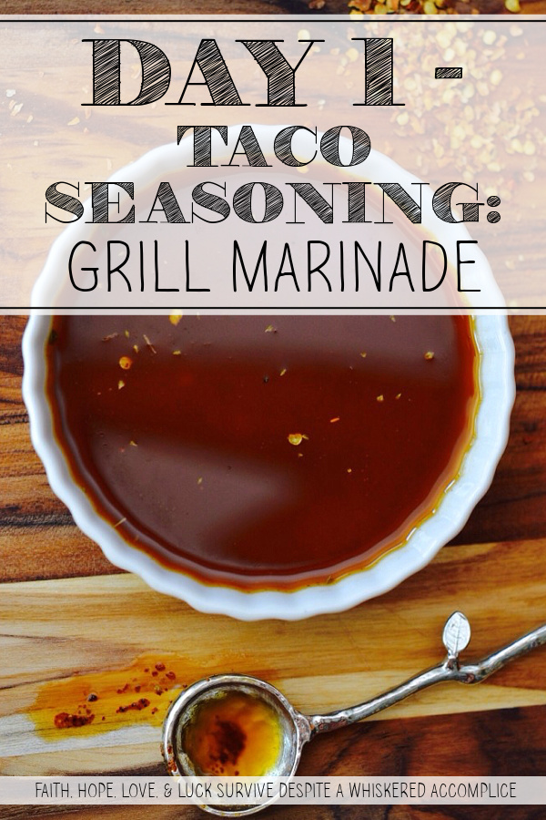 Day 1 - Taco Seasoning: Grill Marinade - You want big, bold flavors for your backyard grill, but you don’t want the added preservatives store-bought bottled marinades contain. With just a few pantry staples and a quick-and-easy homemade taco seasoning, you can create a zesty, Mexican-inspired grill marinade that makes steak, chicken, and pork taste absolutely incredible. It’s better for your health, better for your wallet, and light-years better for your taste buds.