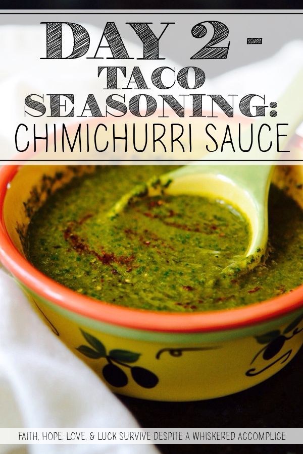 Day 2 - Taco Seasoning: Chimichurri Sauce - Move over, traditional chimichurri. There’s a new sauce in town. Infusing the classic parsley-based condiment with just the right amount of taco seasoning creates a smoky, slightly spicy Mexican-inspired sauce that transforms everything it touches. Whether you’re drizzling it over grilled meats or spooning it onto charred roasted vegetables, this flavorful chimichurri sauce brings the heat you didn’t know you were missing.