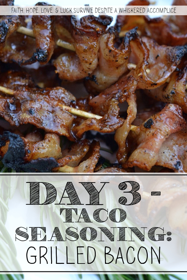 Day 3 - Taco Seasoning: Grilled Bacon - There is bacon, and then there is grilled bacon. Imagine strips of thick-sliced, flavor-packed bacon threaded onto skewers, rendered to bubbly, golden-brown perfection over a low, open flame, then mopped in a zesty, Mexican-inspired sauce made with an easy homemade taco seasoning. It’s smoky, it’s spicy, and arguably the most addictive thing you’ll ever pull off the grill. Once you experience the sticky, addictive crunch of grilled bacon, your stove-top skillet is going to start feeling pretty lonely.