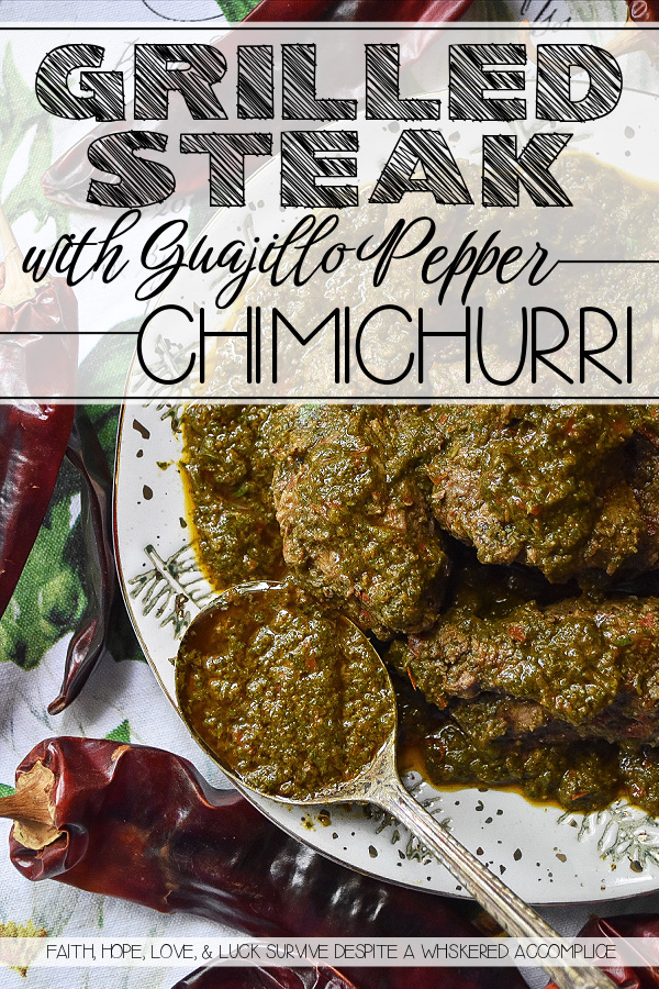 Grilled Steak with Guajillo Pepper Chimichurri - With this guajillo pepper chimichurri marinade, you won't ever have to eat bland steak again. A few simple ingredients help elevate basic grilled steak to the next level; the "Oh, it's too good to be true!" level.