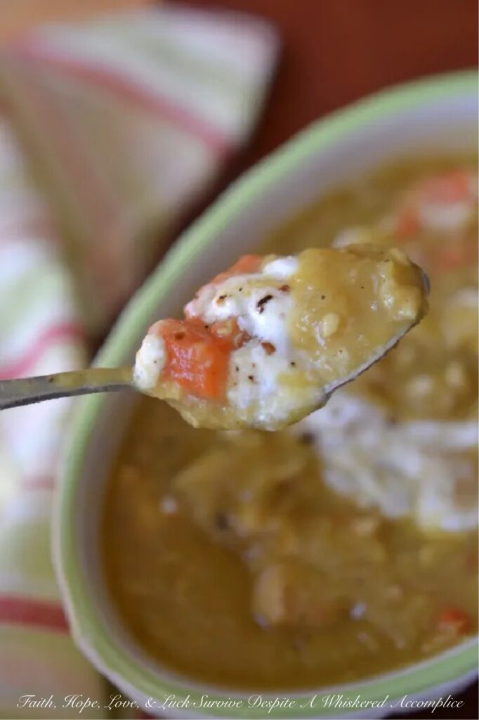 Rotisserie Chicken Day 3 – Curried Lentil and Rotisserie Chicken Stew - Stop throwing away your leftover rotisserie chicken bits and pieces. By transforming the skin, bones, and scraps into a simple, homemade broth, you can whip up a flavorful curried lentil and rotisserie chicken stew that is as hearty as it is healthy. With the perfect balance of warm curry, earthy lentils, and a surprise hint of carrot and apple sweetness, this is the ultimate zero-waste meal made from leftovers, perfect for days when you need a wee bit of warm comfort.