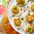 Jerk Seasoned Caribbean Marmalade Deviled Eggs - These jerk-seasoned deviled eggs pack a serious island punch, blending the smoky heat of homemade jerk seasoning with the unexpected, bright, and bitter sweetness of orange marmalade. They’re creamy, deeply spiced, and just plain ol' gorgeous on a deviled egg platter. Topped with a vibrant pop of fresh chives and a dusting of paprika, these Caribbean beauties bring a taste of the islands directly to your kitchen table with no plane ticket required.
