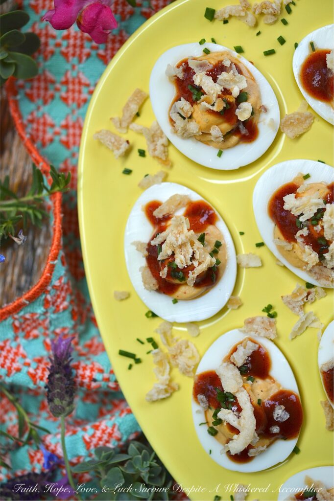 BBQ Deviled Eggs with Crispy Fried Onions - Stop treating crispy fried onions like a holiday guest. Think beyond green bean casserole. With the perfect balance of smoky flavor, creamy filling, and a satisfying, salty crunch in every bite, these BBQ Deviled Eggs topped with fresh chives and crispy fried onions are about to become the star appetizer of your next gathering. Whether you're hosting a game day or looking for the ultimate potluck dish, these bite-sized barbeque-flavored snacks are guaranteed to disappear in minutes.