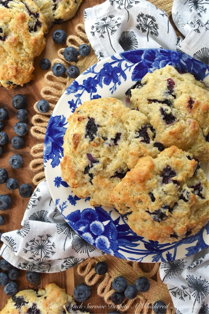 Fresh Blueberry Not-Too-Sweet Drop Biscuits - Drop biscuits are fast, forgiving, and, in the case of these Fresh Blueberry Not-Too-Sweet Drop Biscuits, absolutely irresistible. Crispy on the outside, soft and tender on the inside, with just the right hint of sweetness to highlight the natural tartness of plump, fresh berries, these fruity biscuits are an absolutely delicious way to start the day. In fact, they’re so good, don’t be surprised if "breakfast for dinner" becomes a weekly family request.