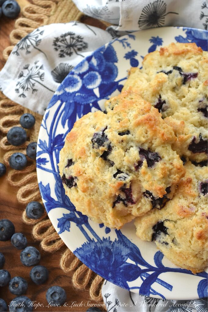 Fresh Blueberry Not-Too-Sweet Drop Biscuits - Drop biscuits are fast, forgiving, and, in the case of these Fresh Blueberry Not-Too-Sweet Drop Biscuits, absolutely irresistible. Crispy on the outside, soft and tender on the inside, with just the right hint of sweetness to highlight the natural tartness of plump, fresh berries, these fruity biscuits are an absolutely delicious way to start the day. In fact, they’re so good, don’t be surprised if "breakfast for dinner" becomes a weekly family request.