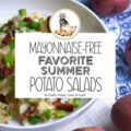Mayonnaise-Free Favorite Summer Potato Salads - When the summer heat hits its peak, there’s nothing worse than the anxiety that comes with a bowl of creamy mayonnaise-based potato salad. Luckily, you don’t have to choose between food safety and flavor with these Mayonnaise-Free Favorite Summertime Potato Salads. These flavor-packed recipes are designed to withstand the heat, stay delicious in the summertime sun, and keep your picnic, barbecue, or outdoor get-together worry-free. Not only are they delicious, but they’re built to beat the heat.