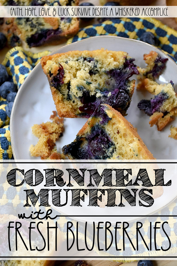 Cornmeal Muffins with Fresh Blueberries - Bursting with fresh, juicy blueberries, these simple, rustic blueberry muffins are incredibly moist, with a tender, soft crumb that is perfectly balanced by the light crunch and subtle sweetness of cornmeal. Whether you’re pairing them with a savory quiche for a lazy weekend brunch, serving them alongside a warm bowl of soup on a chilly evening, or just grabbing one to go with a cup of coffee on a busy weekday morning, they hit the spot every single time.