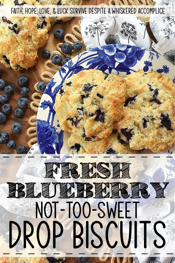 Fresh Blueberry Not-Too-Sweet Drop Biscuits - Drop biscuits are fast, forgiving, and, in the case of these Fresh Blueberry Not-Too-Sweet Drop Biscuits, absolutely irresistible. Crispy on the outside, soft and tender on the inside, with just the right hint of sweetness to highlight the natural tartness of plump, fresh berries, these fruity biscuits are an absolutely delicious way to start the day. In fact, they’re so good, don’t be surprised if "breakfast for dinner" becomes a weekly family request.