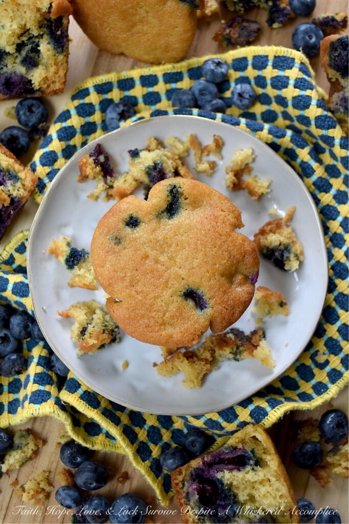 Cornmeal Muffins with Fresh Blueberries - Bursting with fresh, juicy blueberries, these simple, rustic blueberry muffins are incredibly moist, with a tender, soft crumb that is perfectly balanced by the light crunch and subtle sweetness of cornmeal. Whether you’re pairing them with a savory quiche for a lazy weekend brunch, serving them alongside a warm bowl of soup on a chilly evening, or just grabbing one to go with a cup of coffee on a busy weekday morning, they hit the spot every single time.