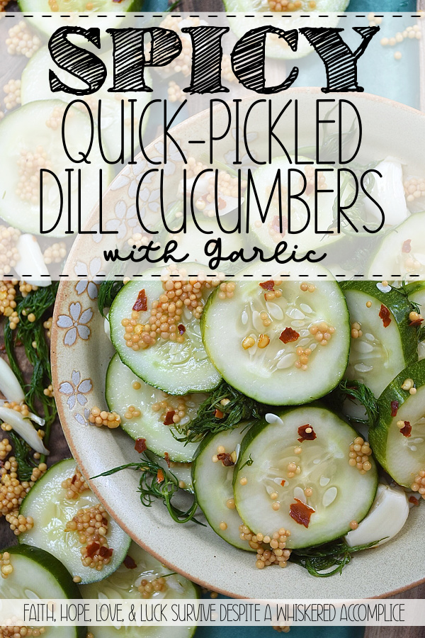 Spicy Quick-Pickled Dill Cucumbers with Garlic - In just a few minutes, you can assemble a spicy jar of garlic and dill quick pickles that taste fresher, crunchier, and infinitely better than anything you'll find sitting on a grocery store shelf. Just layer, cover with brine, shake, and let the fridge work its magic for a few hours. These spicy quick-pickled dill cucumbers with garlic will stay fresh for up to a week in the fridge, that is, assuming they even make it past day one. No fancy canning equipment and no melting over a hot stove in the middle of summer.