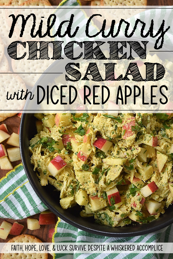 Mild Curry Chicken Salad with Diced Red Apples - This mild curry chicken salad features tender shredded rotisserie chicken tossed in a creamy, golden dressing that brings all the aromatic warmth of curry without the fiery heat. Paired with the sweet, crunchy snap of diced red apples, it's a light, flavorful chicken salad perfect for serving on crispy wheat crackers or for making sandwiches. Whether you stir in a handful of fresh cilantro for an herbal pop of bright color or opt for scallions, parsley, celery, or onion instead, this chicken salad is sure to be an instant favorite.