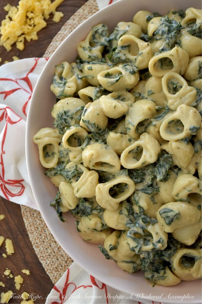Kale Macaroni & Cheese with Balsamic Vinegar - This veggie-packed macaroni and cheese has everything you love about a rich, creamy stovetop mac, plus fresh kale for a healthy kick and added texture. With just the right amount of gooey sharp cheddar and whole milk, this cozy pasta is super creamy without being overly rich. A slightly spicy yet tangy mix of hot sauce and balsamic vinegar stirred in before serving gives this cheesy side dish a sweet, spicy, tangy, delightfully unexpected, and dangerously easy-to-make flavor.