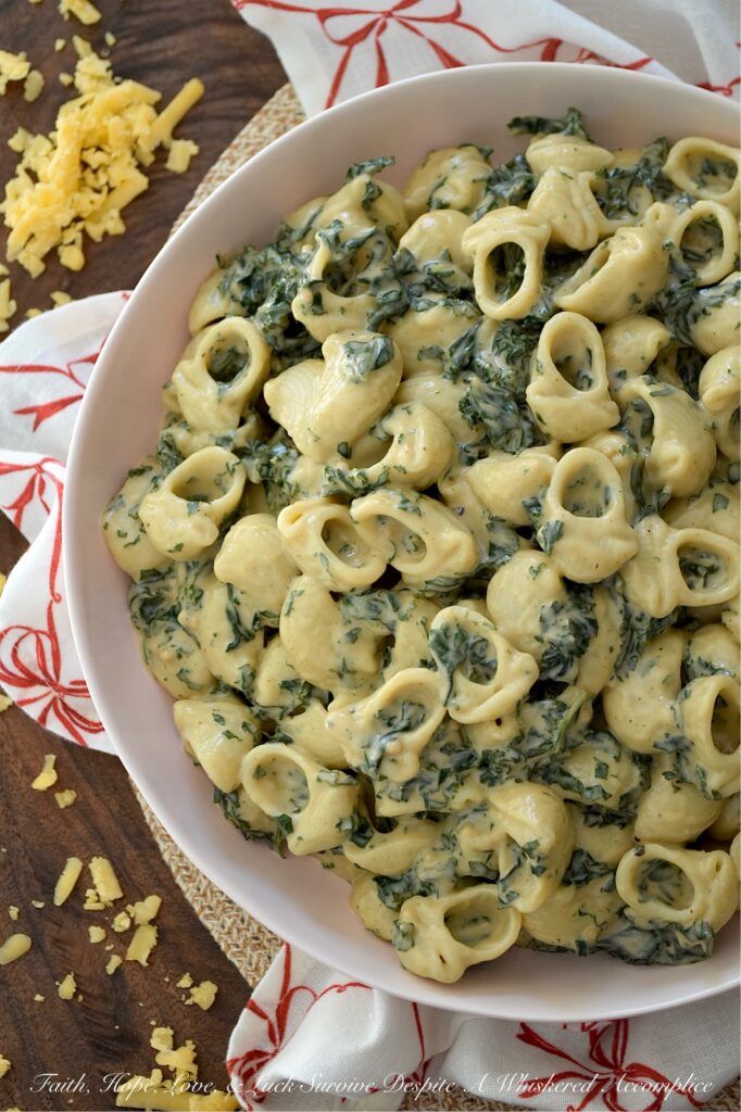 Kale Macaroni & Cheese with Balsamic Vinegar - This veggie-packed macaroni and cheese has everything you love about a rich, creamy stovetop mac, plus fresh kale for a healthy kick and added texture. With just the right amount of gooey sharp cheddar and whole milk, this cozy pasta is super creamy without being overly rich. A slightly spicy yet tangy mix of hot sauce and balsamic vinegar stirred in before serving gives this cheesy side dish a sweet, spicy, tangy, delightfully unexpected, and dangerously easy-to-make flavor.