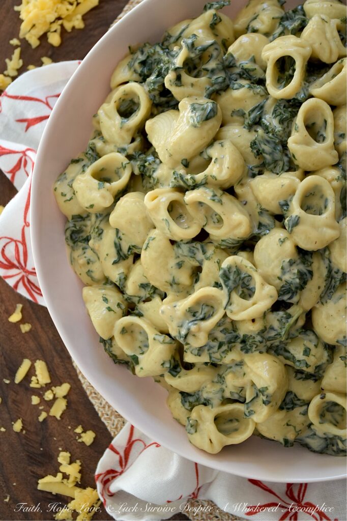 Kale Macaroni & Cheese with Balsamic Vinegar - This veggie-packed macaroni and cheese has everything you love about a rich, creamy stovetop mac, plus fresh kale for a healthy kick and added texture. With just the right amount of gooey sharp cheddar and whole milk, this cozy pasta is super creamy without being overly rich. A slightly spicy yet tangy mix of hot sauce and balsamic vinegar stirred in before serving gives this cheesy side dish a sweet, spicy, tangy, delightfully unexpected, and dangerously easy-to-make flavor.