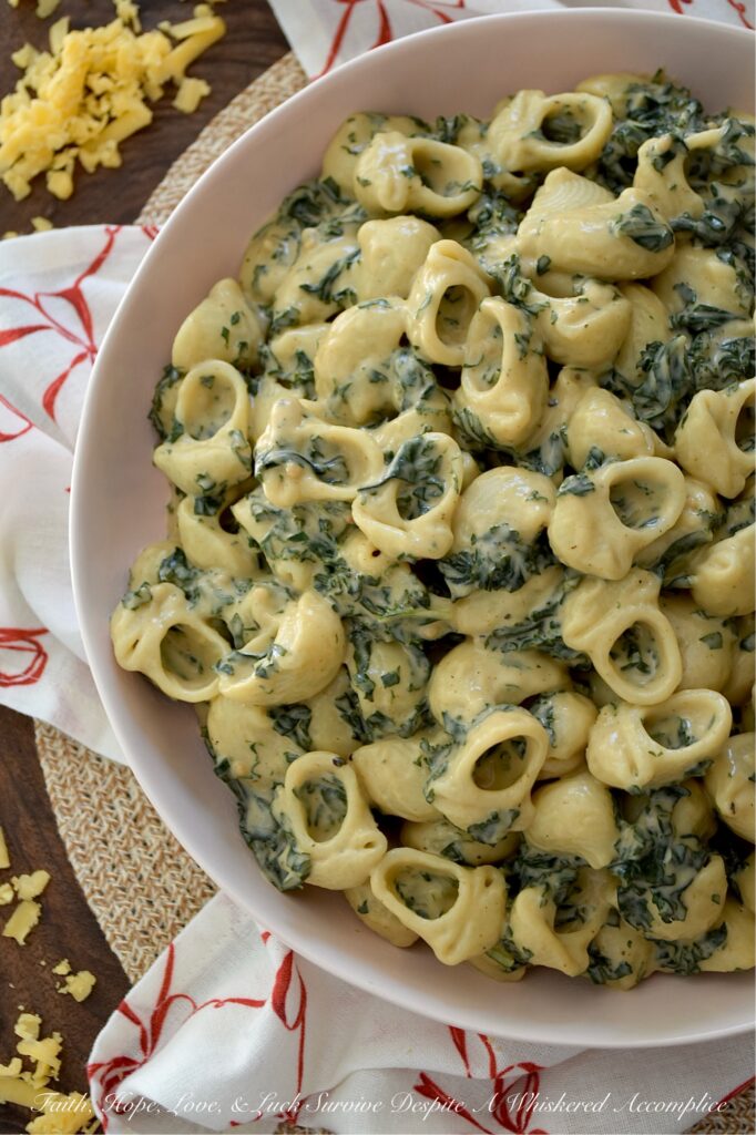 Kale Macaroni & Cheese with Balsamic Vinegar - This veggie-packed macaroni and cheese has everything you love about a rich, creamy stovetop mac, plus fresh kale for a healthy kick and added texture. With just the right amount of gooey sharp cheddar and whole milk, this cozy pasta is super creamy without being overly rich. A slightly spicy yet tangy mix of hot sauce and balsamic vinegar stirred in before serving gives this cheesy side dish a sweet, spicy, tangy, delightfully unexpected, and dangerously easy-to-make flavor.