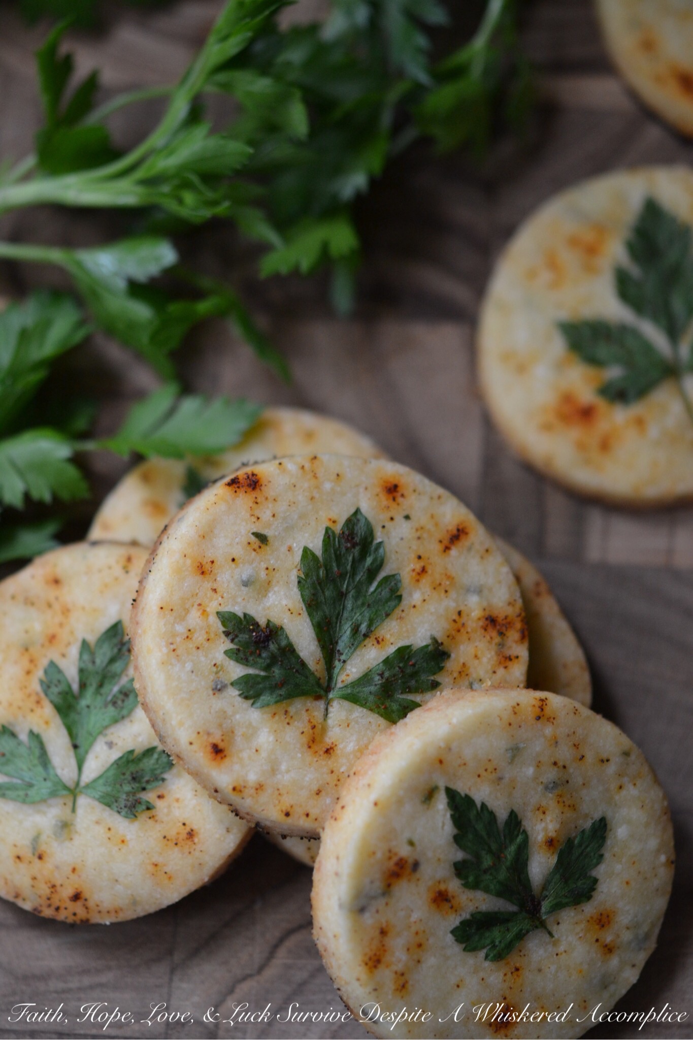 Chipotle Pecorino Romano Shortbread - This cheesy shortbread falls somewhere between a savory cookie and an overly thick cracker, with a satisfying crunch. The flaky texture with the added kick of chipotle will give your meal an instant extra boost of spicy flavor. Whether you're looking for an appetizer, a side, or just a tasty snack, this savory shortbread with chipotle and pecorino romano cheese is sure to hit the spot.
