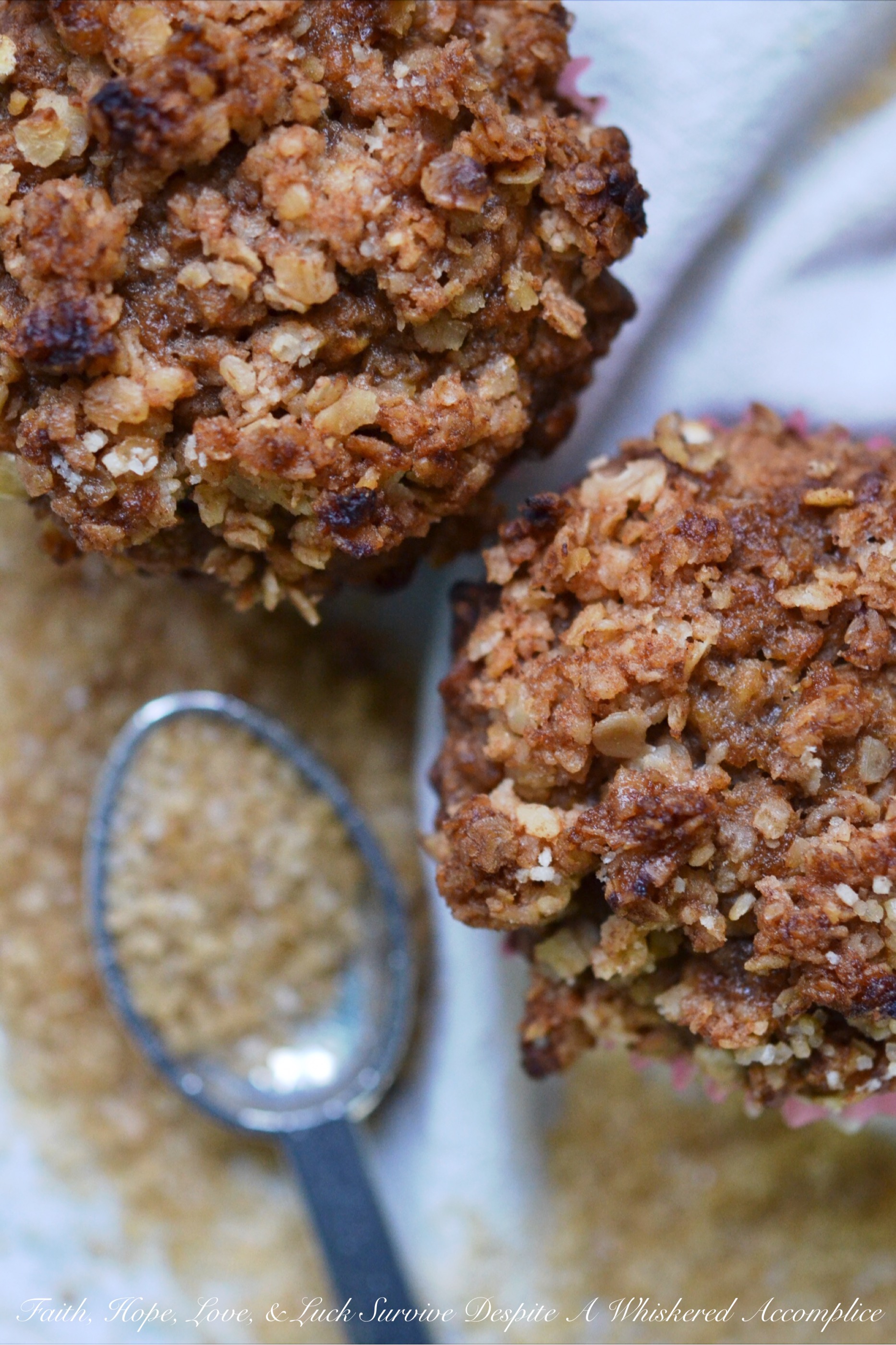 Oatmeal Crumble Muffins - If you're looking for the perfect muffin recipe, you've come to the right place. These muffins aren't fancy. They're not loaded with raisins, they're not studded with chocolate chips, and they definitely don't contain any nuts, seeds, or berries. These muffins are simple, yet delicious, with an oatmeal crumble topping to add a delightful and irresistible crunch to each and every bite.