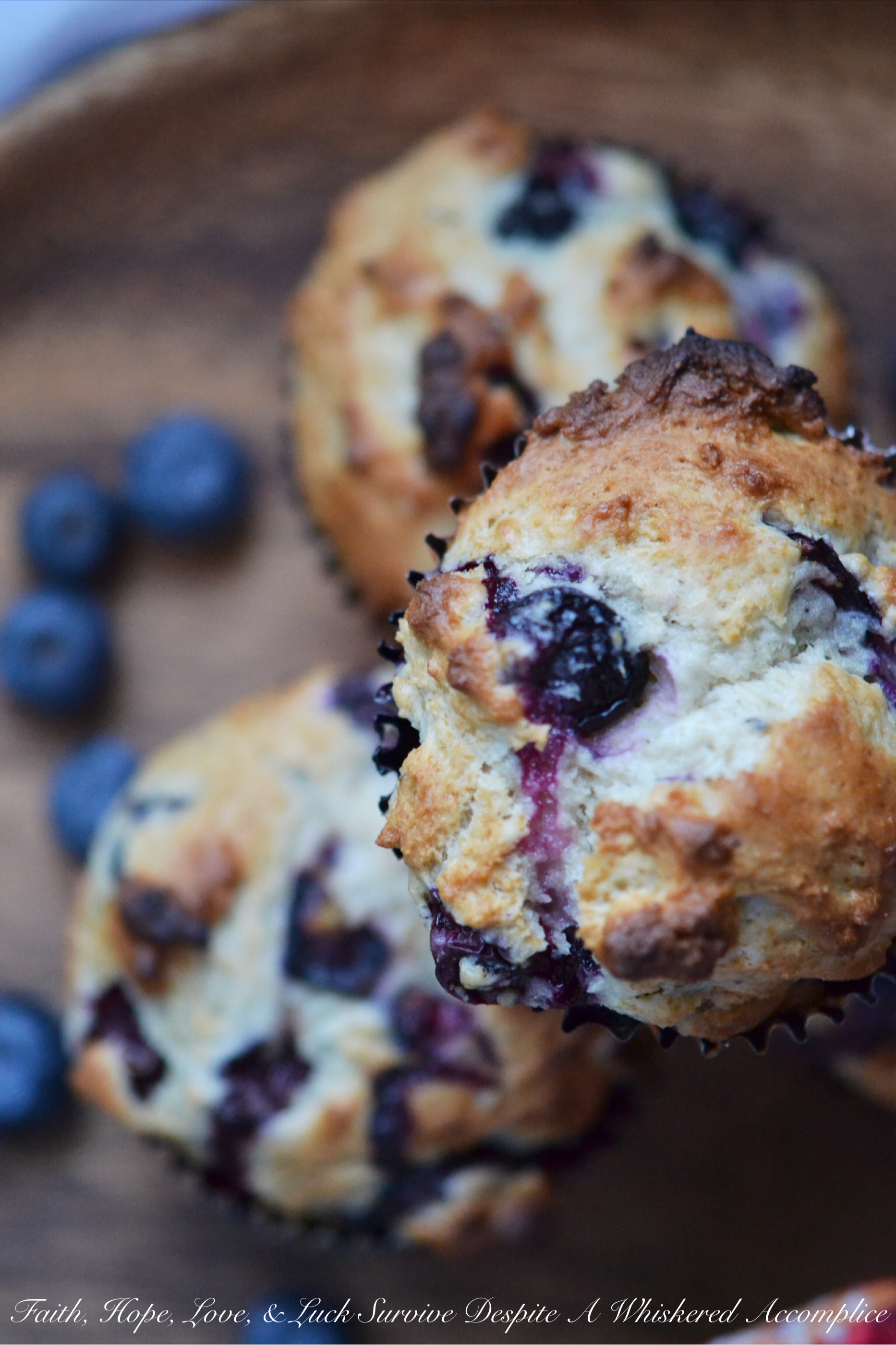 Chobani Simply 100 Blueberry Dinner Muffins - Having bread for dinner doesn't mean that you're eating dreadfully or living an unhealthy lifestyle. Especially, if that bread comes in the form of these blueberry dinner muffins. The secret to these healthier muffins is that they contain way less sugar than most. Low-fat and low-sugar yogurt also helps give them amazing flavor and just the right amount of texture. Grab a muffin and ditch the guilt.