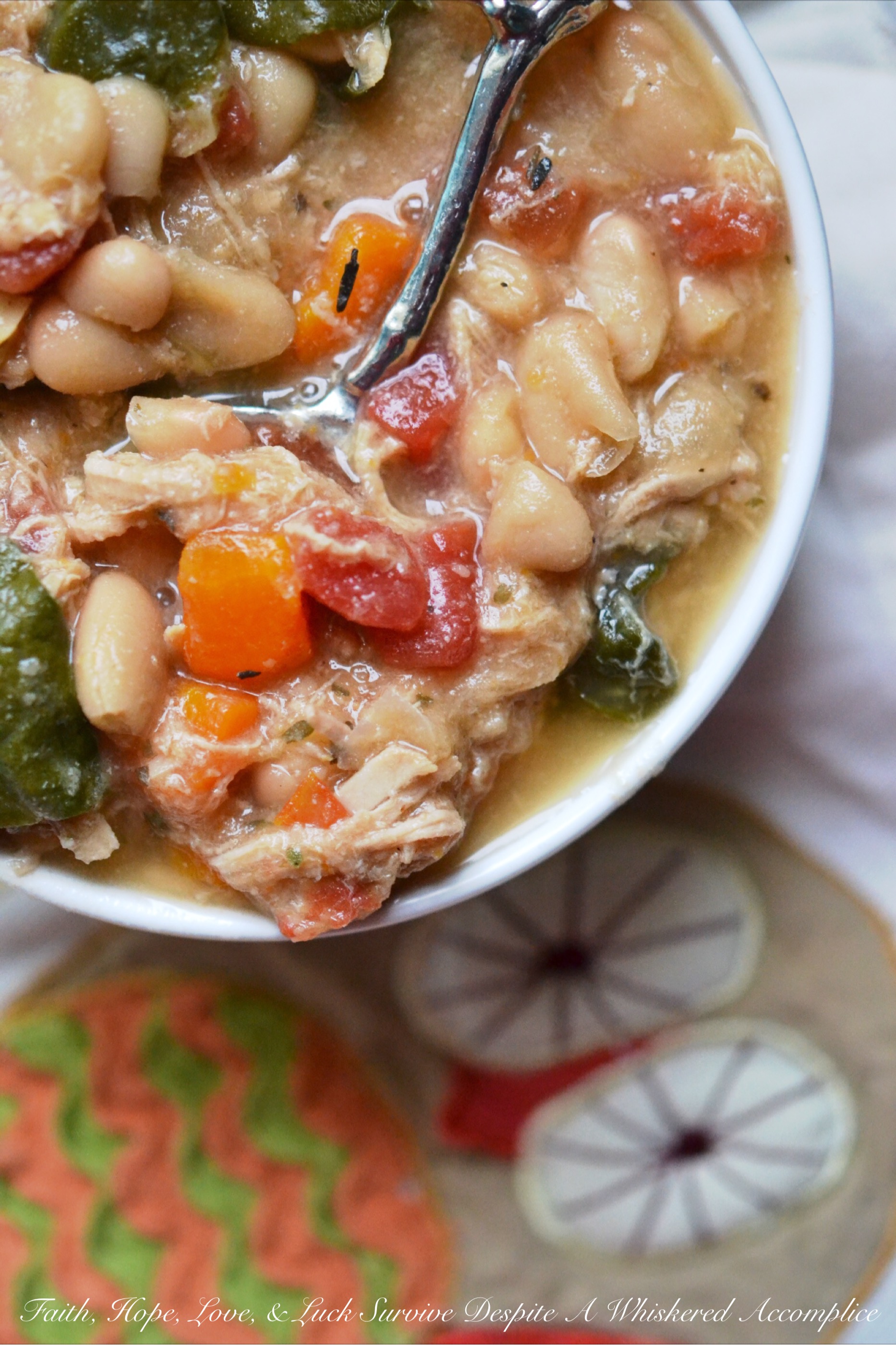 Crockpot Tenderloin and Northern Bean Ale Soup - It's wonderful to come home to this pork and bean soup dinner simmering away in a slow cooker, especially on a busy weeknight. This soup uses dried beans and is simple to throw together on a hectic morning before work. When you get home, just add a few more ingredients, and in half an hour dinner is ready.