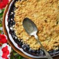 Summer Blueberry Pie Crisp - This is the perfect recipe for when you don't want to spend a lot of time in the kitchen. You can have this Summer Blueberry Pie Crisp assembled and in the oven in 10 minutes, leaving you more time to relax in the sun. With its bubbly, sweet blueberry filling and golden, crunchy oat topping, this is the kind of dessert that deserves your fanciest pie dish.