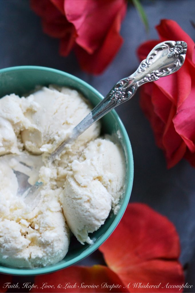 Buttermilk Double Vanilla Ice Cream