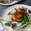 Scallop & Kale Salad with Yogurt Curry Dressing - This delightful appetizer salad will be the hit of your next dinner party with its subtle curry flavor and tangy salad dressing. The yogurt dressing is the perfect complement to the sautéed golden brown sweet curry scallops. If you're looking for an elegant, yet simple salad, this is definitely it.