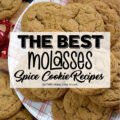 The Best Molasses Spice Cookie Recipes - Molasses Spice Cookies are undeniably soft, delightfully chewy, and absolutely bursting with rich, comforting flavor. They're practically bursting at the seams with the cozy, comforting flavors of ground ginger and cinnamon, with just a hint of freshly grated nutmeg, and the tiniest pinch of ground cloves, all wrapped up in a big molasses hug. They’re the kind of treat that makes you want to sneak back into the kitchen for just one more. And then maybe another after that. Whether you’re in the mood for a cookie loaded with chocolate chips, crammed with crushed sandwich cookies, or slathered with chocolate icing and a sprinkle of salty pretzels, we've got you covered. Your new favorite cookie recipe is about to make itself right at home.
